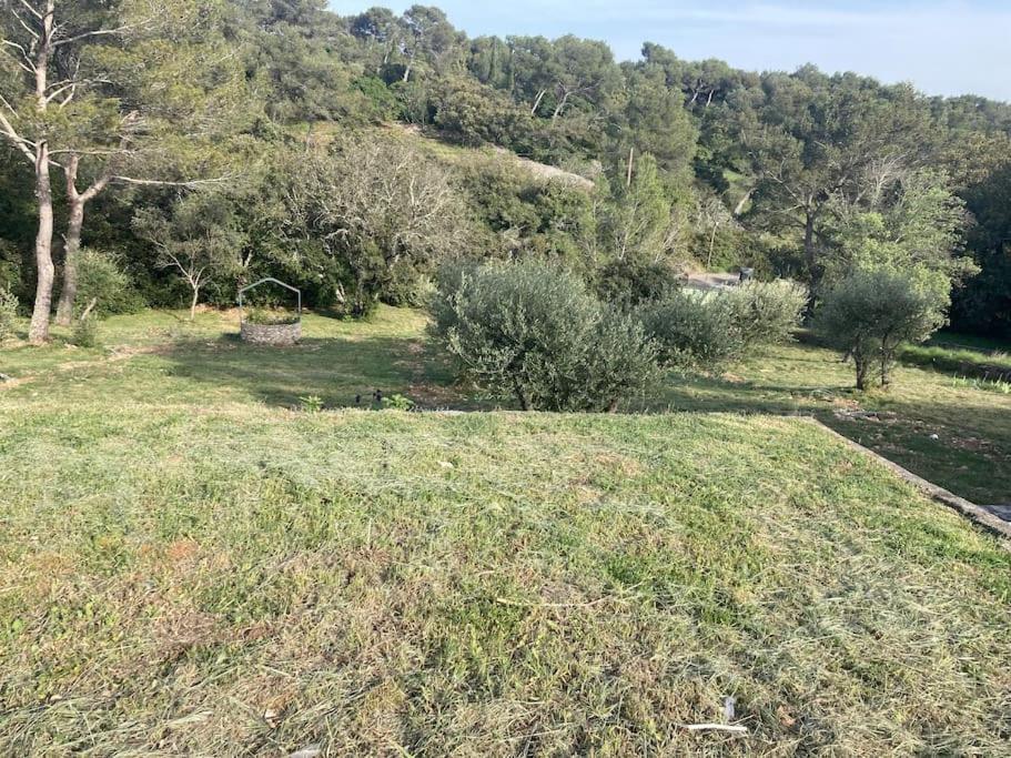 Magnifique Villa De Luxe Au Coeur De La Garrigue Nimes Exterior photo